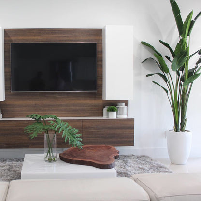 2.7 m Bird of Paradise Plant with Ben Planter in Glossy White